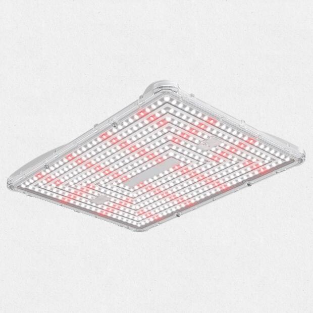 Secret Jardin Power Pack LED 125W Full Spectrum