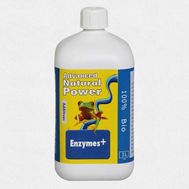 Enzymes plus 0,25 Liter