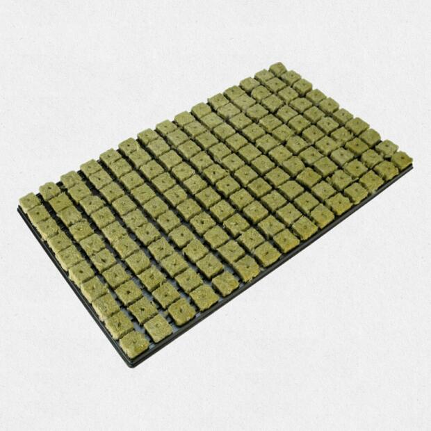 Grodan Stecktray 2x2 cm - Tray 150