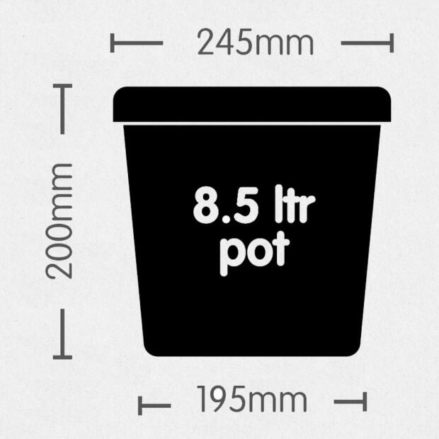 AUTOPOT TOPF 8,5L Easy2Grow