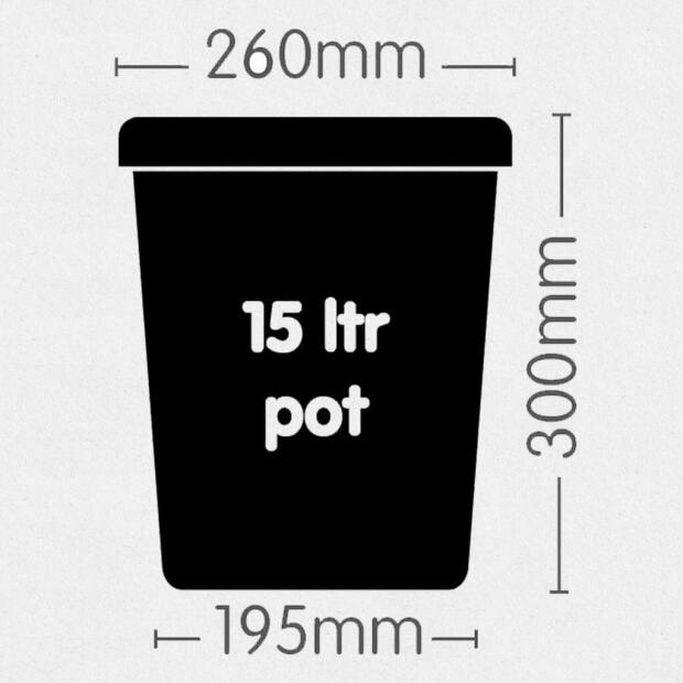 AutoPot Topf schwarz 15 Liter