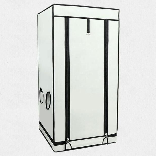 Homebox Ambient Q60+