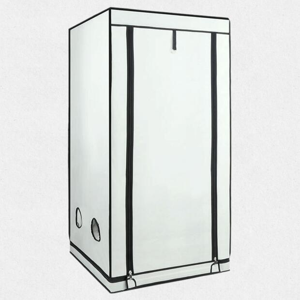 Homebox Ambient Q80+