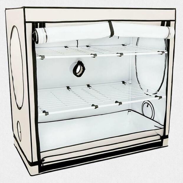 Homebox Vista Medium