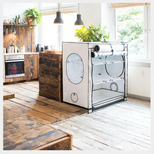 Homebox Vista Medium